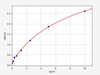 Rat GLS ColorStep ELISA Kit (AEFI02096)
