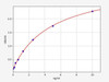 Human DEFB103A (Beta-defensin 103) ColorStep ELISA Kit (AEFI02205)