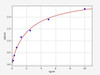 Human CD5L ColorStep ELISA Kit (AEFI02335)