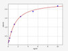 Human Adenosine A2b Receptor (ADORA2B) ColorStep ELISA Kit (AEFI02388)