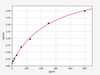 Human PG80 (Circulating progastrin) ColorStep ELISA Kit (AEFI02390)