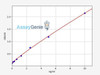 Human WNT6 ColorStep ELISA Kit (AEFI02402)