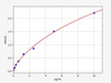 Human CSF2R beta ColorStep ELISA Kit (AEFI02582)