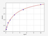 Human ALK (Anaplastic lymphoma kinase) ColorStep ELISA Kit (AEFI02609)