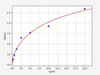 Rat EIF2AK2 ColorStep ELISA Kit (AEFI02783)