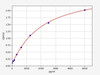 Rat MTCO1 ColorStep ELISA Kit (AEFI02841)