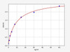 Rat INSR-beta ColorStep ELISA Kit (AEFI02870)