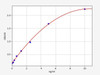 Rat Cubilin ColorStep ELISA Kit (AEFI03224)