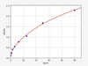 Mouse Arginase ColorStep ELISA Kit (AEFI03414)