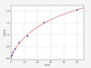 Human Anti-IFNAR2 (Interferon alpha/beta receptor 2) antibody ELISA Kit (AEFI03586)