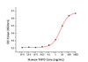 Recombinant Human Thrombopoietin/THPO Protein (RPCB0396)