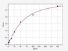 Hamster SARS-CoV-2 ELISA Sampler Pack (SKGE0034)