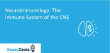 신경면역학: CNS의 면역체계