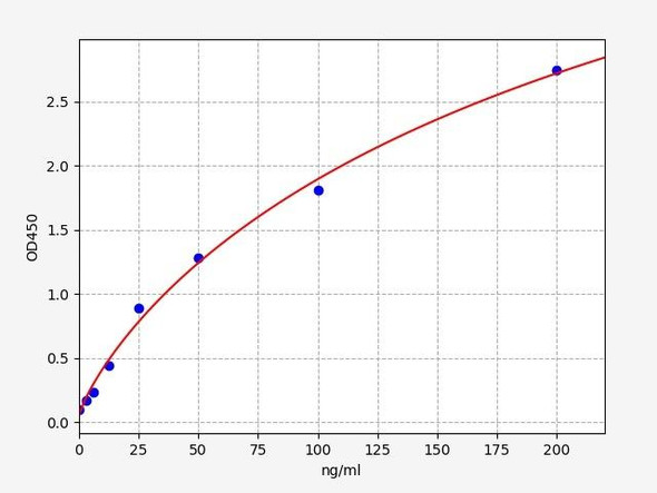 Human AMY2 / Amylase Alpha 2 ELISA Kit