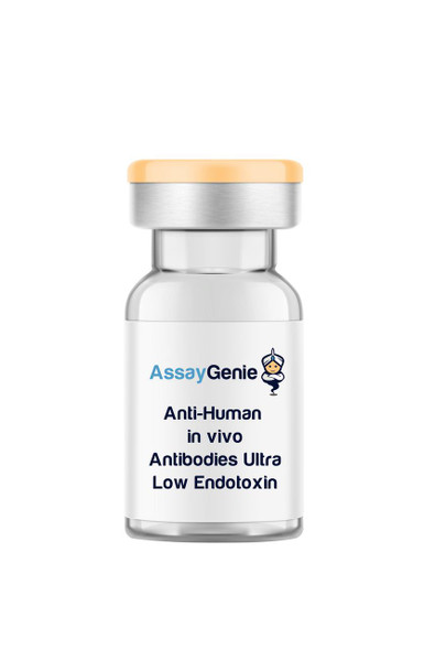 Anti-Human HLA-A, B, C (MHC Class I) In Vivo Antibody - Ultra Low Endotoxin