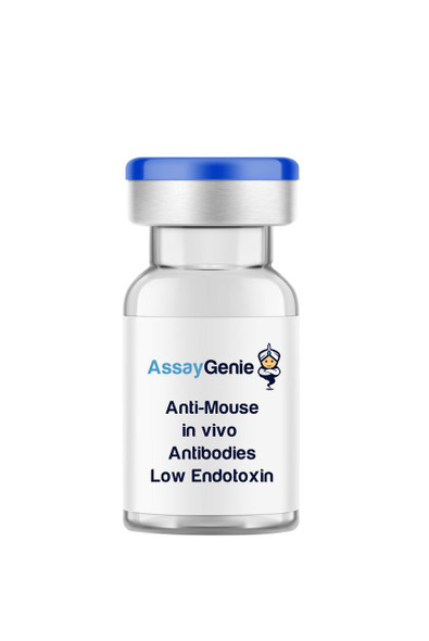 Anti-Mouse CD19 In Vivo Antibody - Low Endotoxin