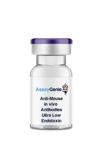 Anti-Mouse CD8a (Ly 2) In Vivo Antibody - Ultra Low Endotoxin