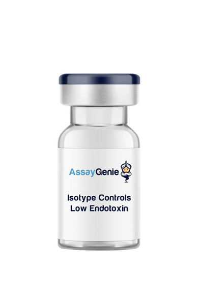Armenian Hamster IgG Isotype Control - Low Endotoxin