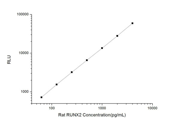 Rat RUNX2 (Runt Related Transcription Factor 2) CLIA Kit  (RTES00503)