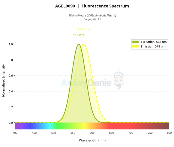 PE Anti-Mouse CD62L Antibody [Mel14] (AGEL0090)