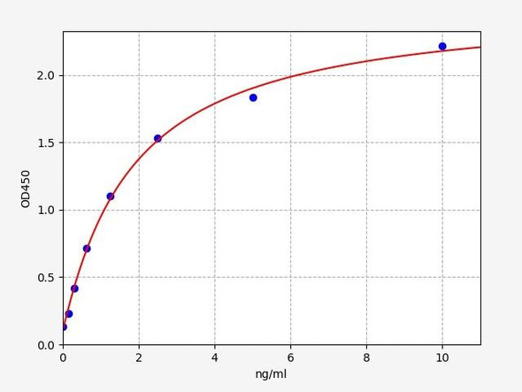 Human DUSP5 / VH3 ELISA Kit