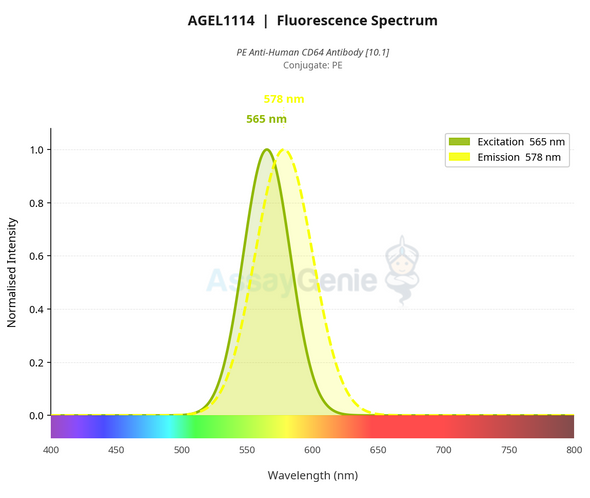 PE Anti-Human CD64 Antibody [10.1] (AGEL1114)