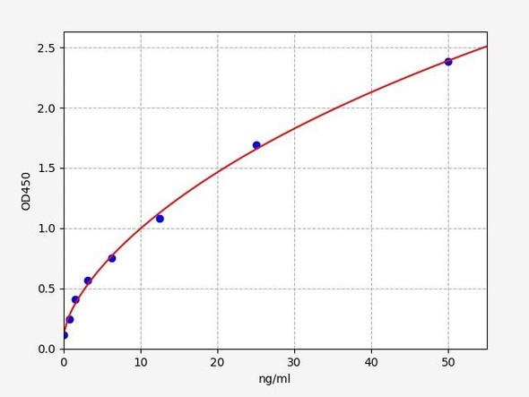 Human PSG11/Pregnancy-specific beta-1-glycoprotein 11 ELISA Kit (HUFI01211)