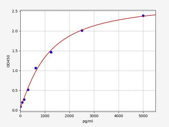 Rat PIIINT ELISA Kit (RTFI01019)