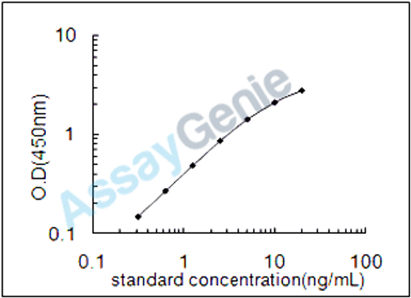 Rat N (G),N (G)-dimethylarginine dimethylaminohydrolase 2 (Ddah2) ELISA Kit (RTEB1412)