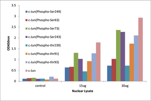 c-Jun (Phospho-Thr93)Transcription Factor Activity Assay (TFAB00009)
