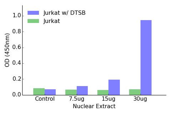 Elk1 (Phospho-Ser389)Transcription Factor Activity Assay (TFAB00022)