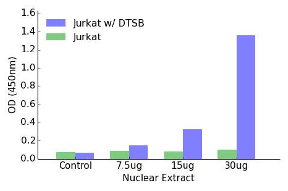Elk1 (Phospho-Thr417)Transcription Factor Activity Assay (TFAB00023)