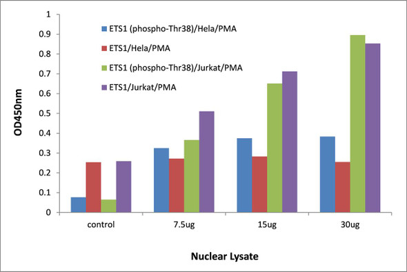 ETS1 (Phospho-Thr38)Transcription Factor Activity Assay (TFAB00025)