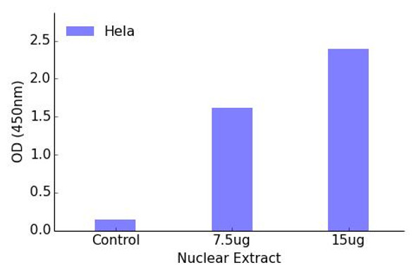 FOXO1 (Phospho-Ser319)Transcription Factor Activity Assay (TFAB00027)