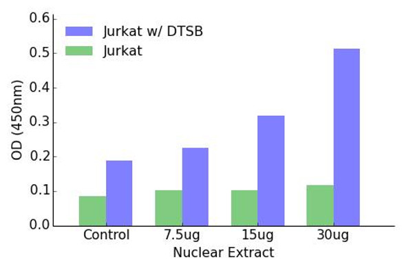 GATA4 (Phospho-Ser262)Transcription Factor Activity Assay (TFAB00031)