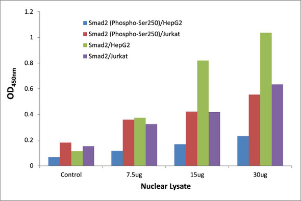 Smad2 (Phospho-Ser250)Transcription Factor Activity Assay (TFAB00050)