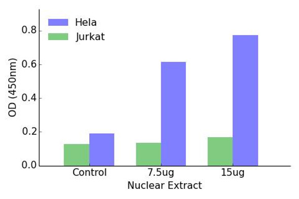ELF1 Transcription Factor Activity Assay (TFAB00094)