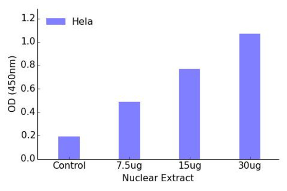 FOXC1/2 Transcription Factor Activity Assay (TFAB00108)