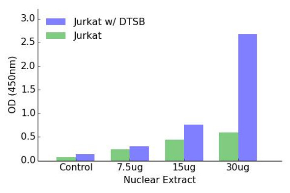 GATA1 Transcription Factor Activity Assay (TFAB00114)