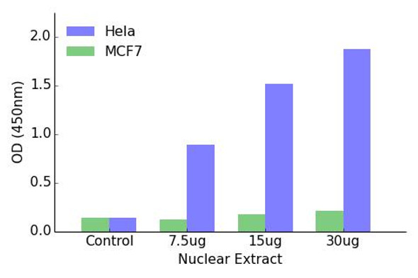 GR Transcription Factor Activity Assay (TFAB00118)