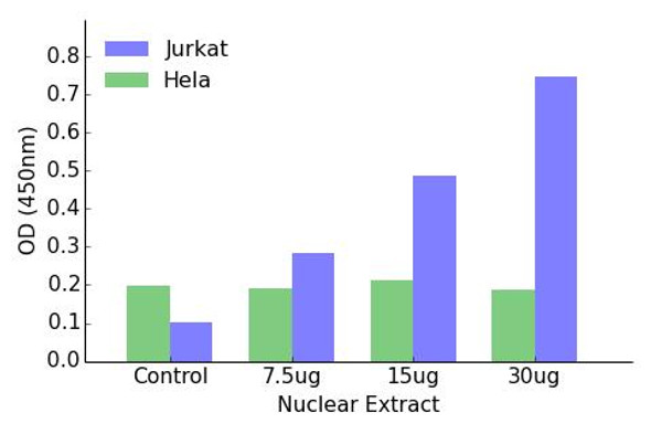 HOXA11/D11 Transcription Factor Activity Assay (TFAB00123)