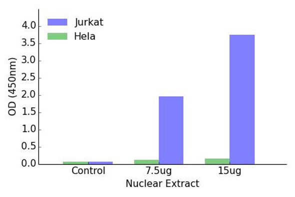 IKZF2 Transcription Factor Activity Assay (TFAB00130)