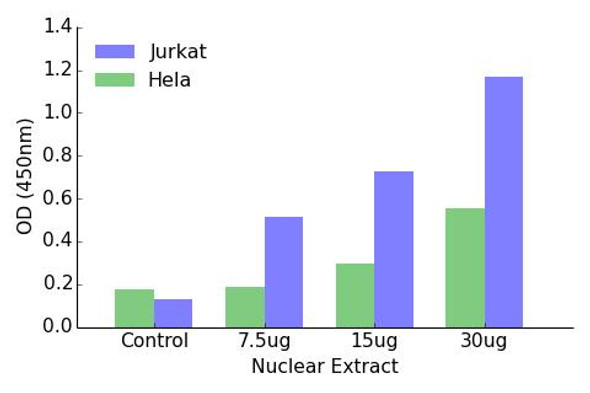 NCoR1 Transcription Factor Activity Assay (TFAB00136)