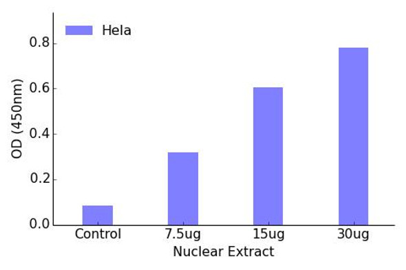 PPAR-gamma Transcription Factor Activity Assay (TFAB00153)