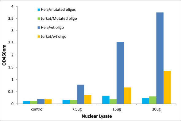 Thyroid Hormone Receptor alpha Transcription Factor Activity Assay (TFAB00173)