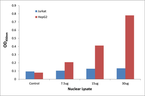 Smad3 Transcription Factor Activity Assay (TFAB00187)