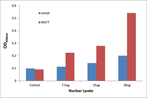 HBP1 Transcription Factor Activity Assay (TFAB00192)