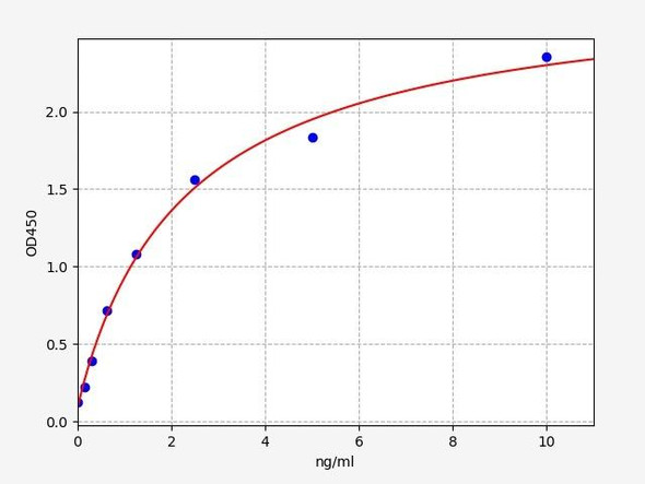 Rat MAP1LC3B (Microtubule-associated proteins 1A/1B light chain 3B) ELISA Kit (RTFI01417)