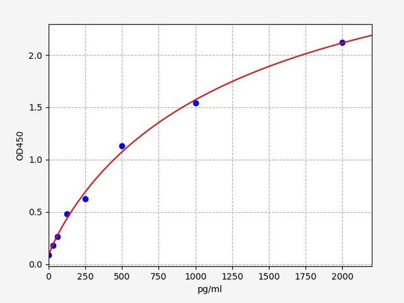 Rat  MLCK/MYLK (Myosin light chain kinase) ELISA Kit (RTFI01424)