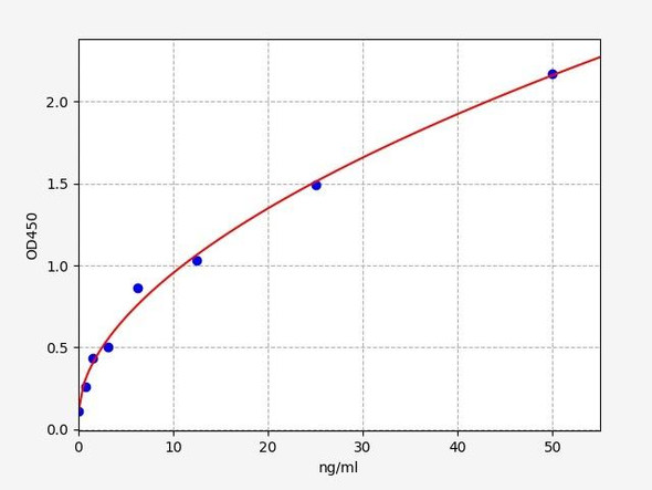 Rat Acid Phosphatase / ACP ELISA Kit